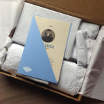 Nina Garcia Quarterly Subscription Box Review #NGQ01