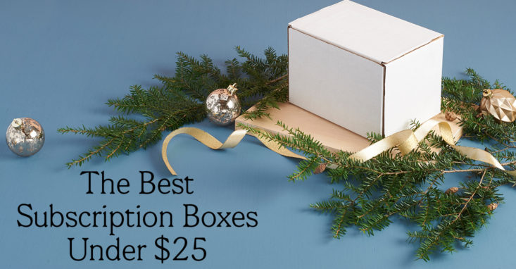 The Best Subscription Boxes Under $25