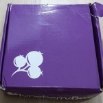 Juneberry Subscription Box Review – August 2015