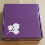 Juneberry Subscription Box Review – October 2015