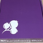 Juneberry Subscription Box Review – December 2015