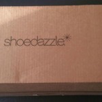 ShoeDazzle Subscription Box Review + Coupon – February 2016