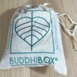 BuddhiBox Jewelry Subscription Box Review + Coupon- Feb 2016