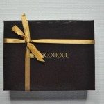 COCOTIQUE Beauty Box Review + Coupon – April 2016