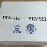 PLVSH Style Subscription Box Review – May 2016
