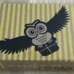 Fandom of the Month Subscription Box Review – July 2016