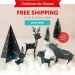 New Kiwi Crate Holiday Crates + Coupon