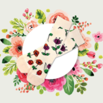 Sock Fancy – Free Pair of Floral Socks with Subscription!