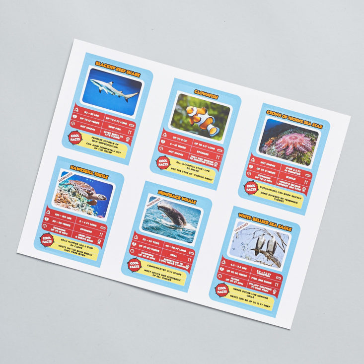 National Geographic Junior Explorers Great Barrier Reef October 2017 - Trading Cards