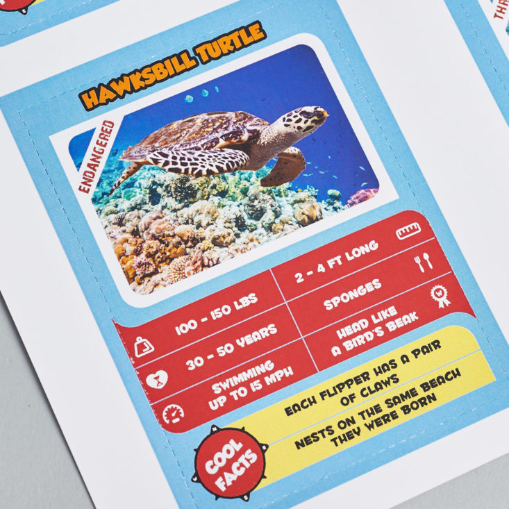 National Geographic Junior Explorers Great Barrier Reef October 2017 - Trading Cards