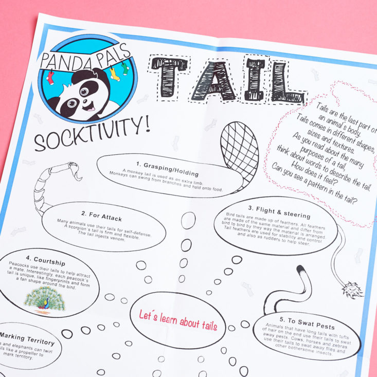 Panda Pals intro letter and activity