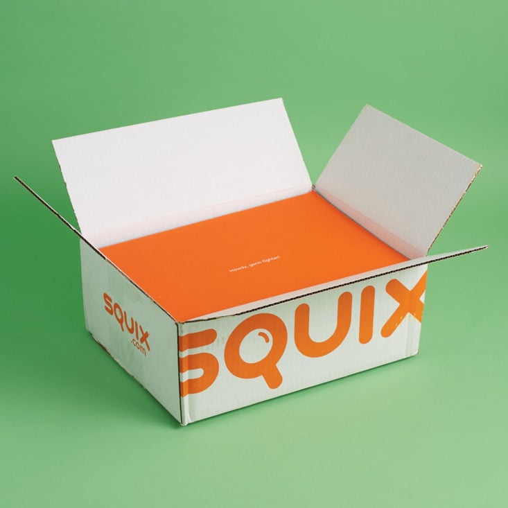 open squix box november 2017