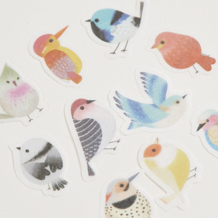 close up of bird stickers