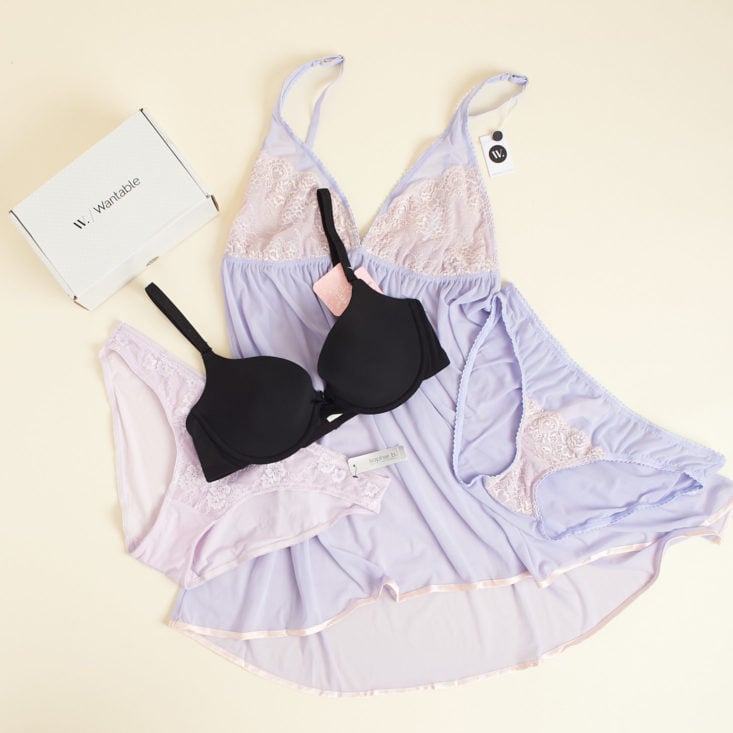 Pretty lace lingerie & a perfect everyday bra are in this month's Wantable Intimates collection!