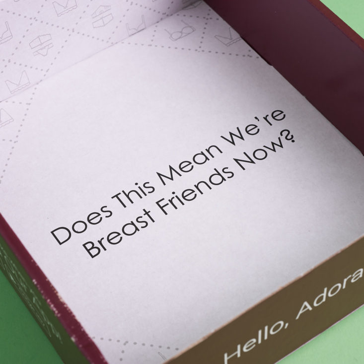 message inside adoreme box for october 2017