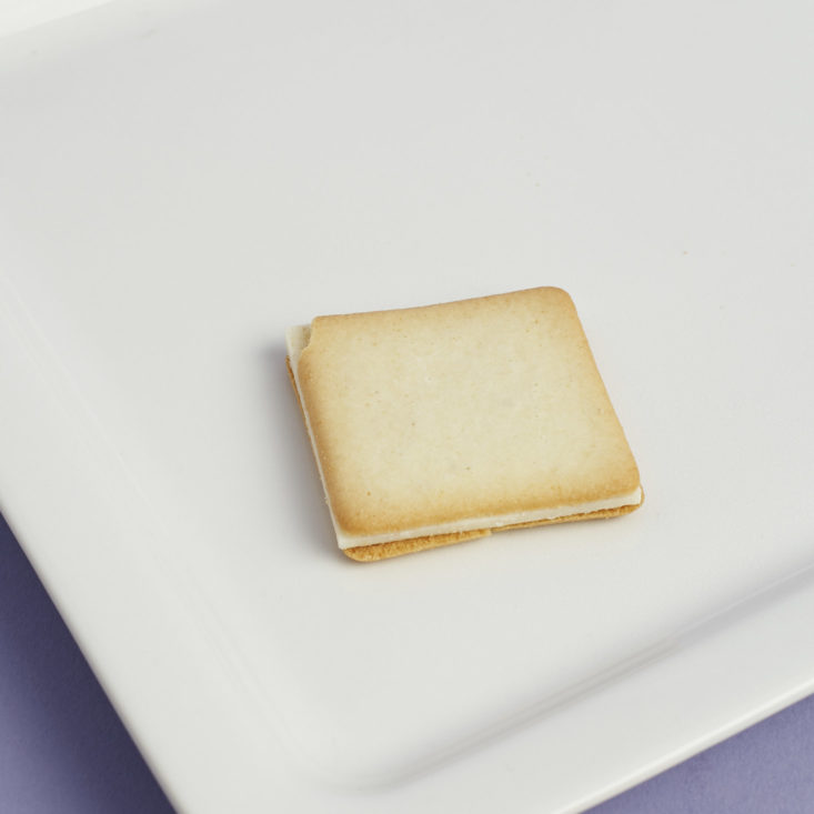 Salt and Camembert Cheese Cookie on plate