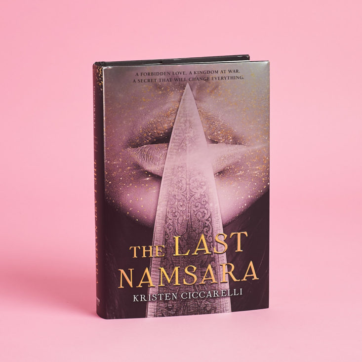 the last namsara book cover