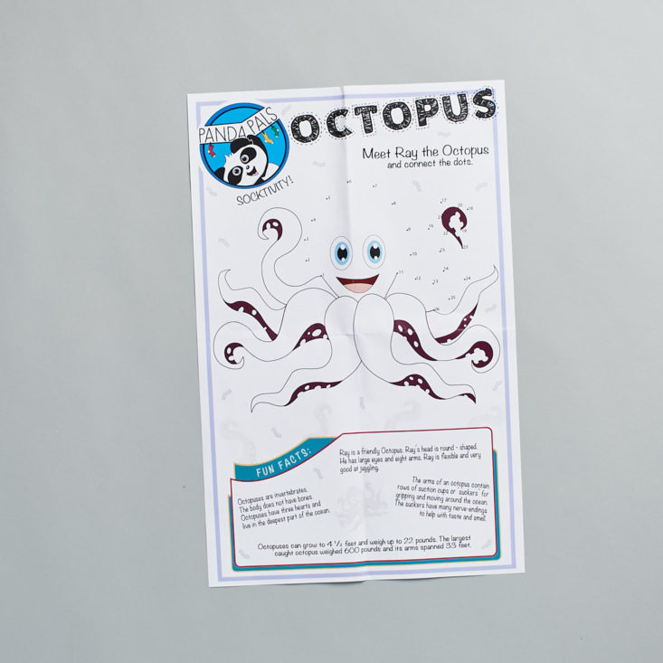 Octopus Activity Sheet