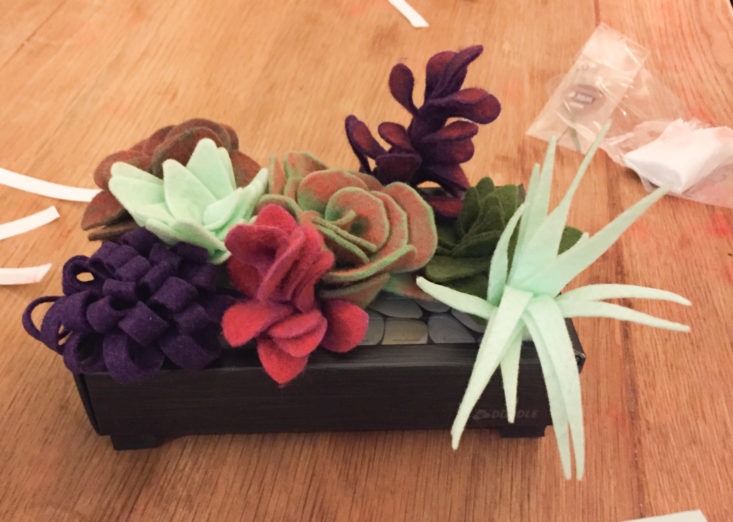 doodle crate felt succulent garden November 2017