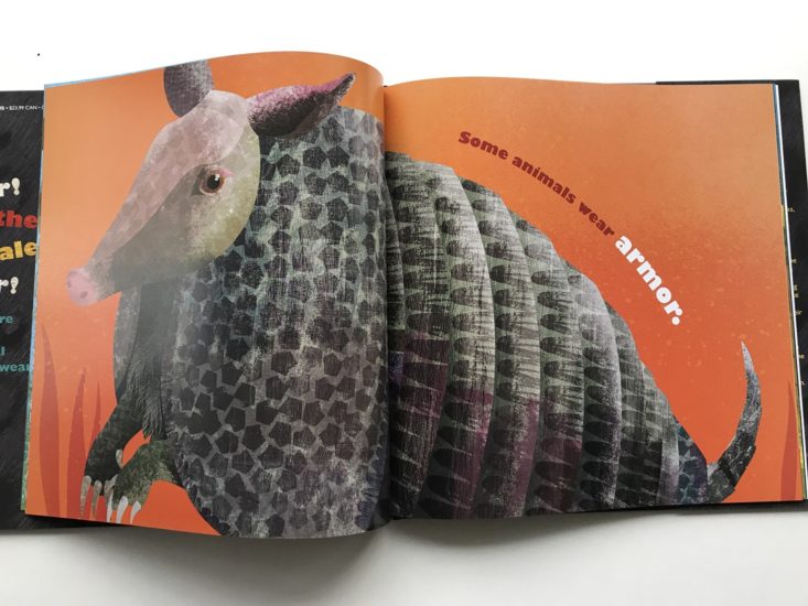 Feathers and Hair, What Animals Wear by Jennifer Ward book open showing an armadillo