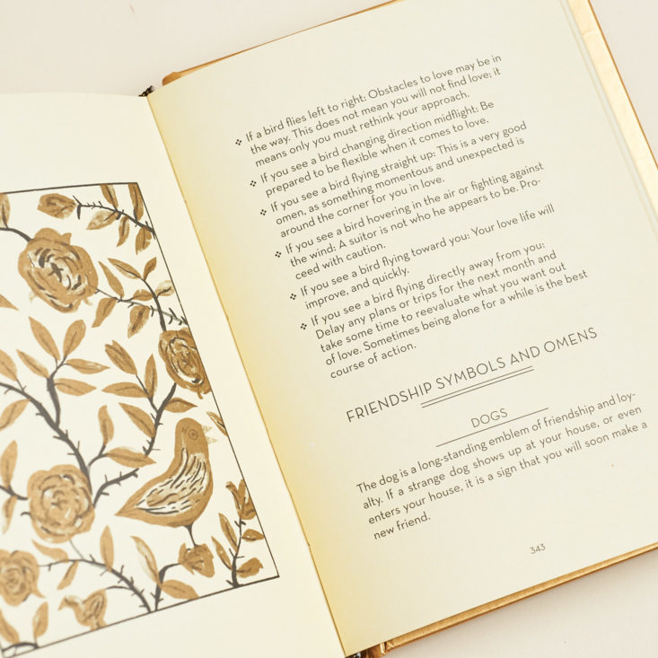 inside fortune telling book