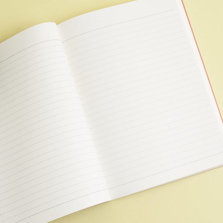 lined pages of "Notes" polka dot notebook
