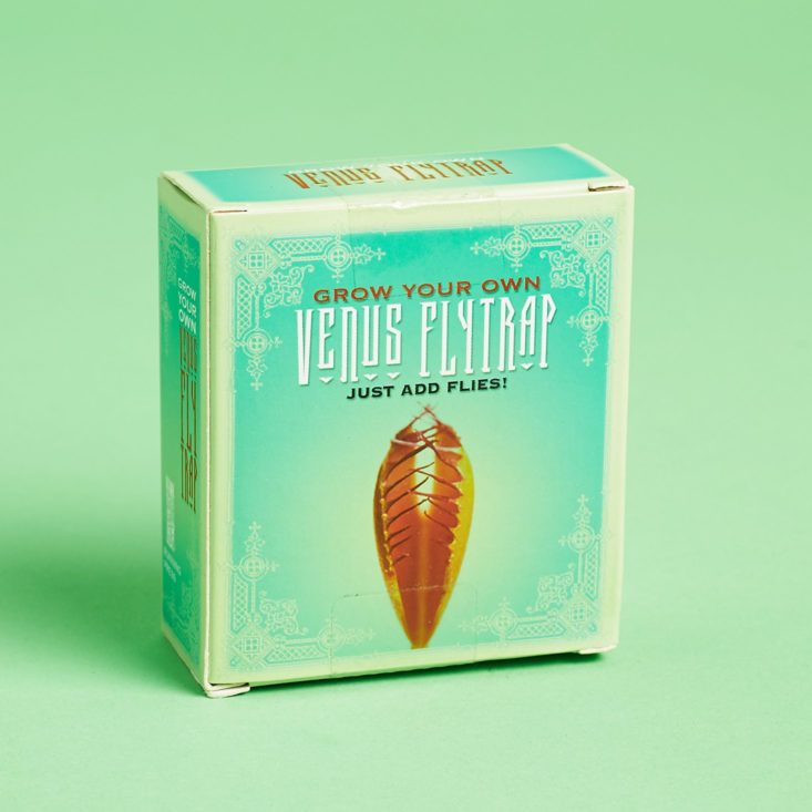 venus fly trap box 