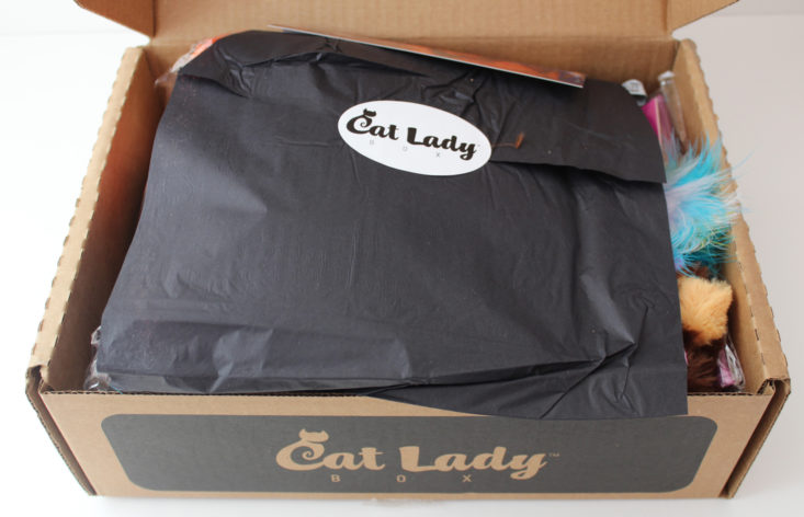 Cat Lady Box February 2018 Inside box showing black tissue paper