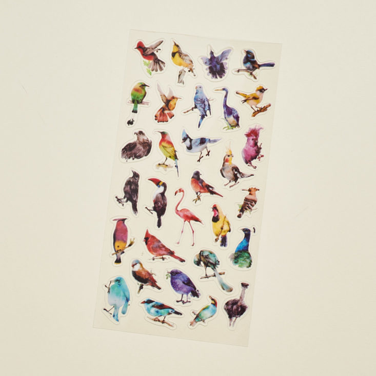 bird photo stickers