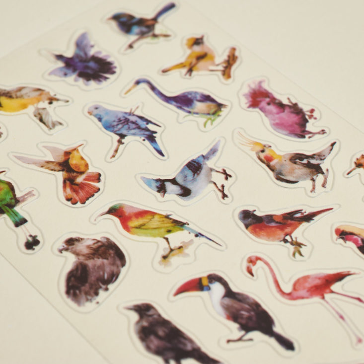 close up of bird photo stickers