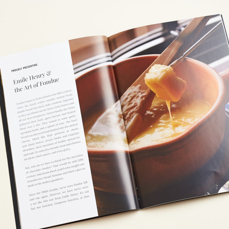 cheese fondue history in robb vices
