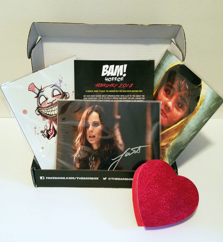 BAM! Horror Subscription Box February 2018 0003 box contents