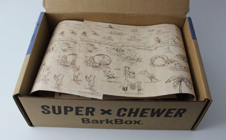 Barkbox Super Chewer February 2018 Box inside