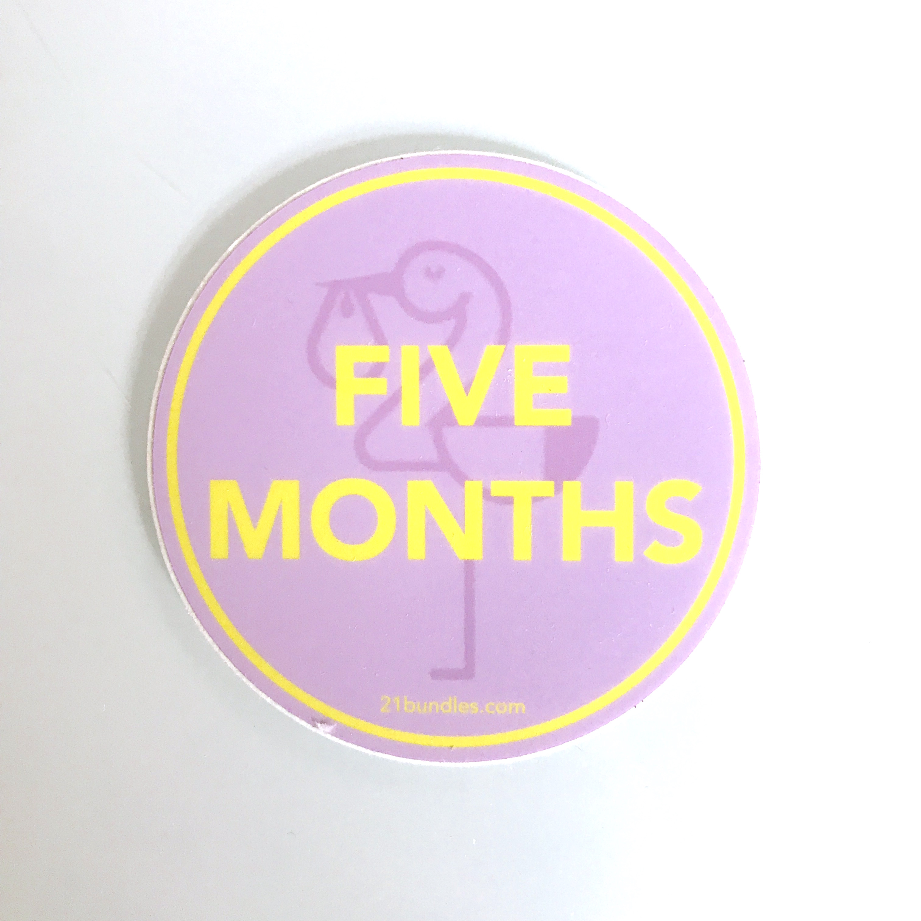 Healthiest Baby 21 Bundles February 2018 - 5 months sticker