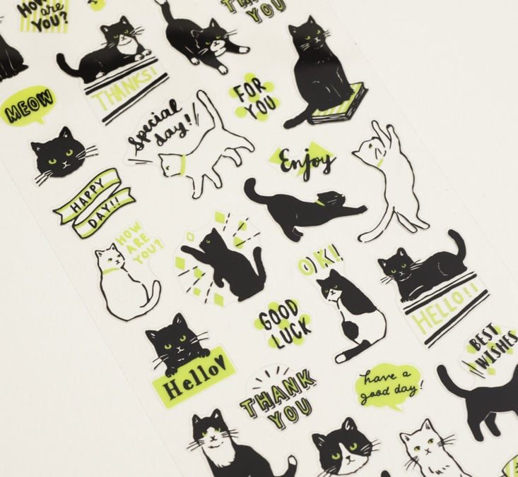close up of cat stickers