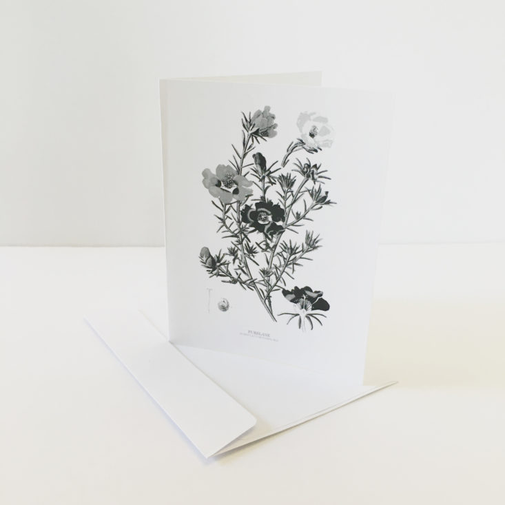 floral greeting card from Plowbox