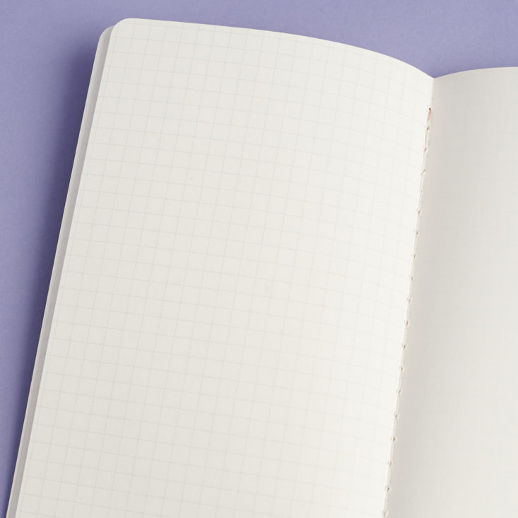 inside grid pages of Camino A5 slim notebook
