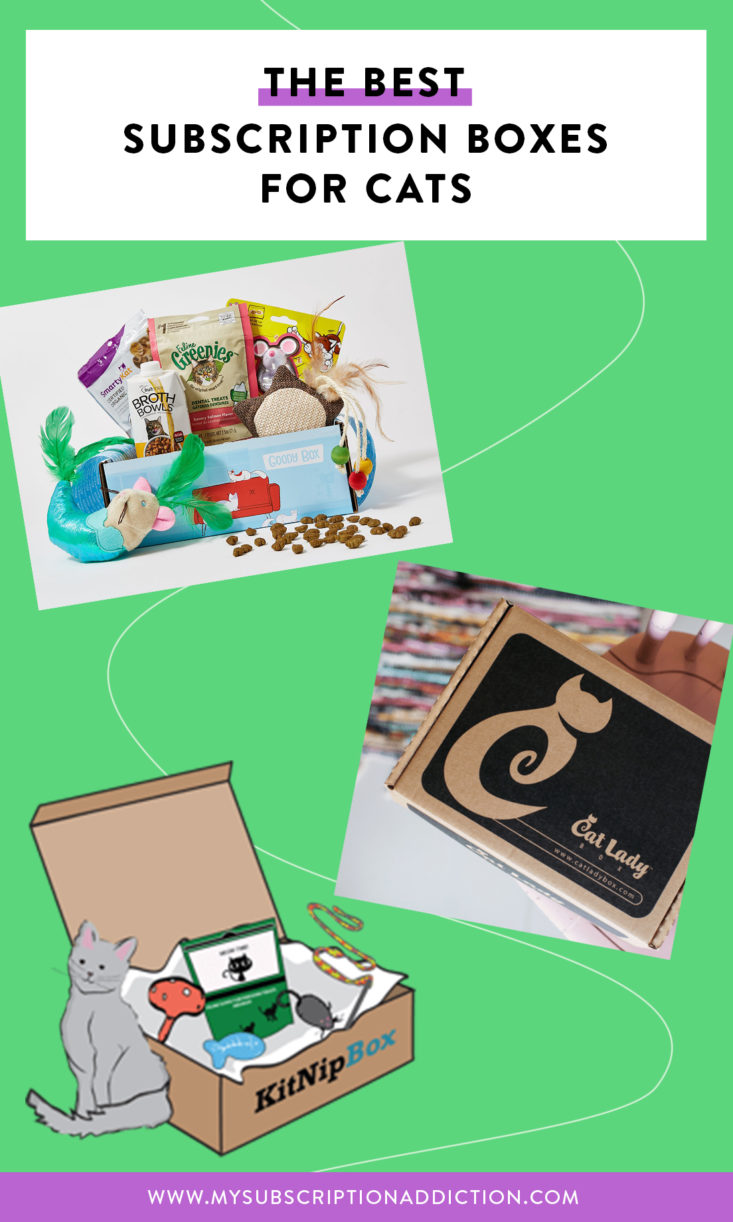 The Best Cat Subscription Boxes As Voted by Our Readers! MSA