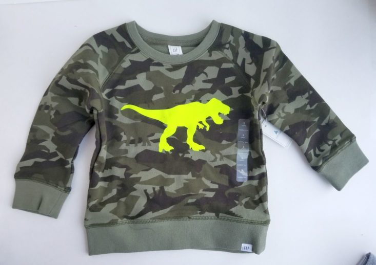camouflage and Graphic dinosaur Crewneck Pull-Over Sweatshirt