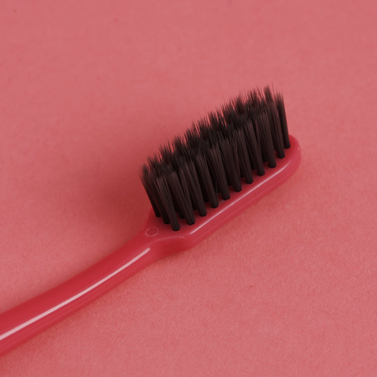 close up of bristles of Molr Toothbrush