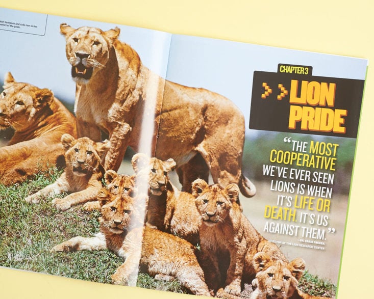Mission: Lion Rescue book