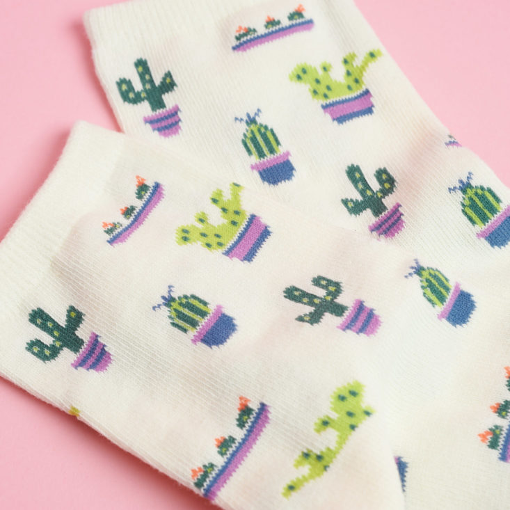 cactus plants on socks