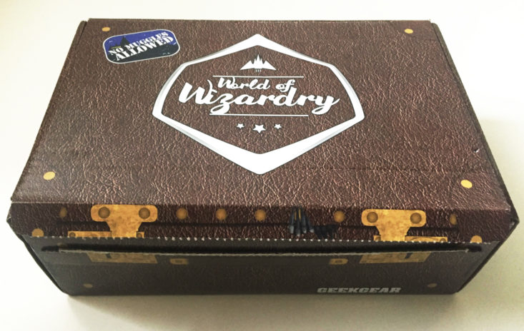 World of Wizardry March 2018 Box itself