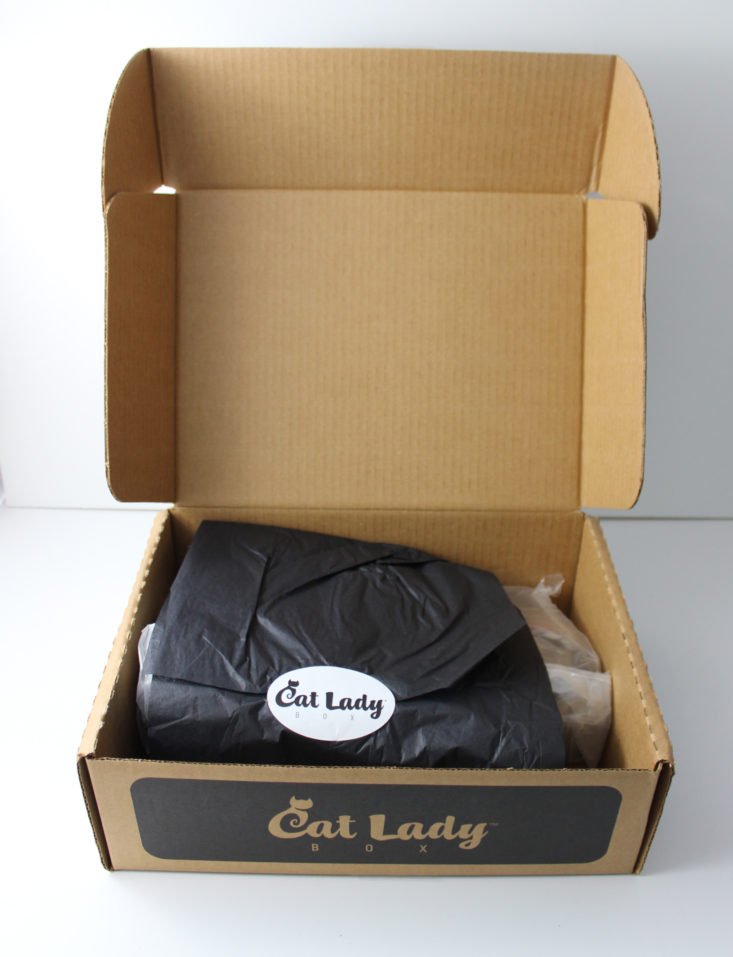inside Cat Lady Box