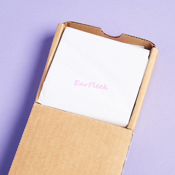 Earfleek premier tier silly and fun open box