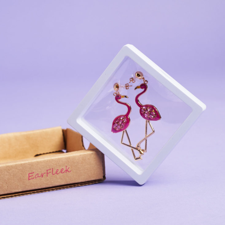 Earfleek premier tier silly and fun package