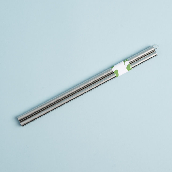 greenblender stainless steel straws