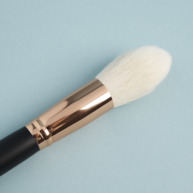 close up of MorpheMe R1 Deluxe Pointed Powder Brush