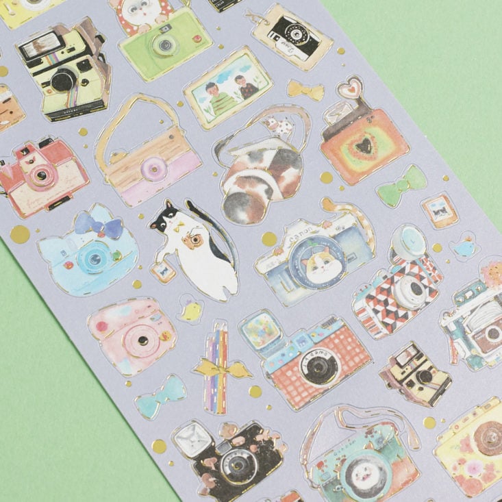 close up of Cats + Cameras Stickers