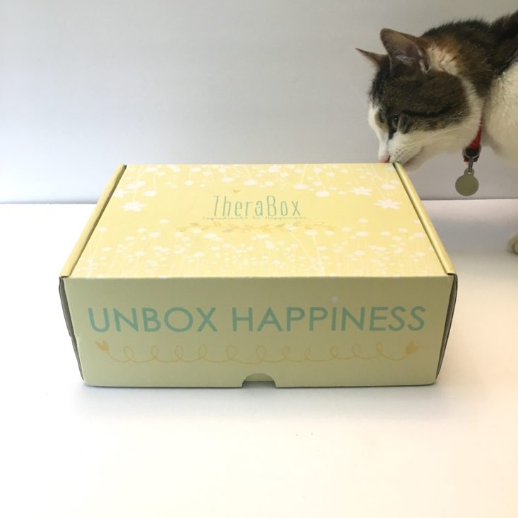 Therabox May 2018 Box
